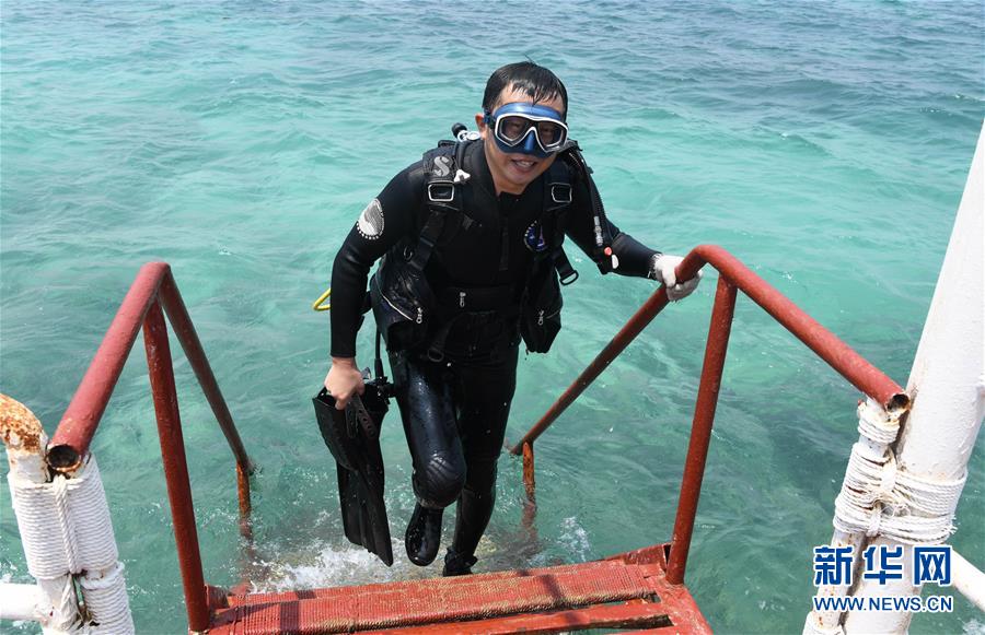 （在習(xí)近平新時(shí)代中國特色社會(huì)主義思想指引下&mdash;&mdash;新時(shí)代新作為新篇章&middot;習(xí)近平總書記關(guān)切事&middot;圖文互動(dòng)）（5）終不悔為國為民，攀高峰只爭(zhēng)朝夕&mdash;&mdash;來自科學(xué)家們的動(dòng)人故事