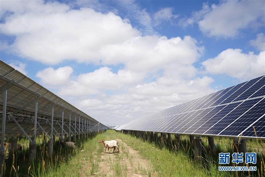 （新華全媒頭條&middot;走向我們的小康生活&middot;決戰(zhàn)決勝脫貧攻堅(jiān)&middot;圖文互動(dòng)）（2）高原上綻放的光芒&mdash;&mdash;來(lái)自青海攻克深度貧困堡壘的故事