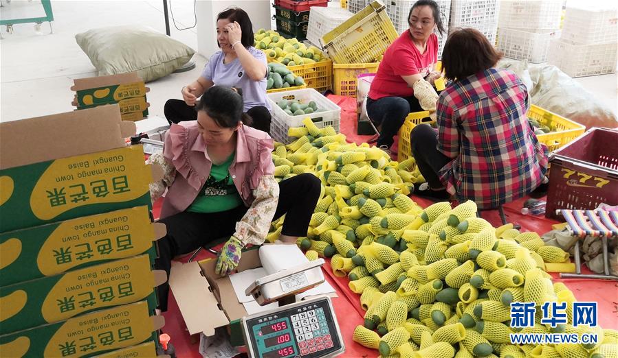 （決戰(zhàn)決勝脫貧攻堅&middot;圖文互動）（3）同飲一江水 攜手&ldquo;斬窮根&rdquo;&mdash;&mdash;深圳對口廣西河池、百色扶貧協(xié)作見聞