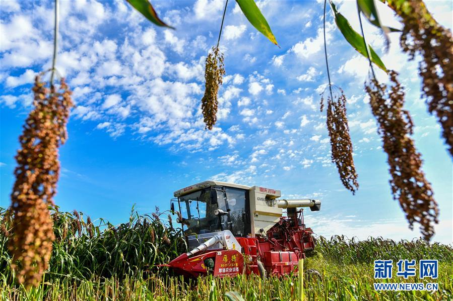 （新華全媒頭條&middot;圖文互動）（5）天道酬勤的大地贊歌&mdash;&mdash;寫在第三個中國農(nóng)民豐收節(jié)之際