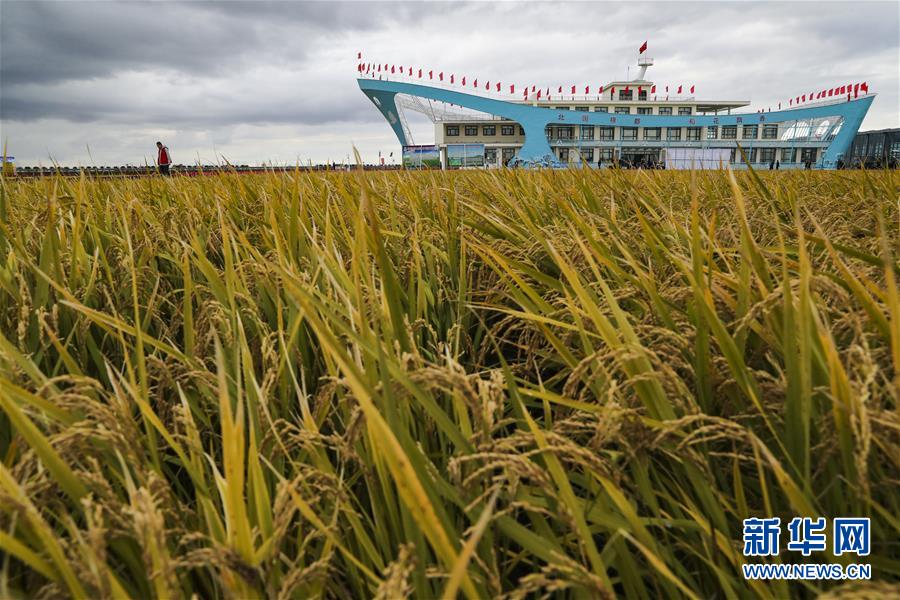 （新華全媒頭條&middot;圖文互動）（1）天道酬勤的大地贊歌&mdash;&mdash;寫在第三個中國農(nóng)民豐收節(jié)之際