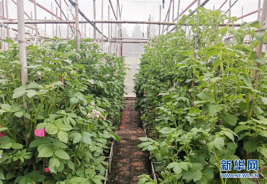 （新華全媒頭條&middot;圖文互動）（8）天道酬勤的大地贊歌&mdash;&mdash;寫在第三個中國農(nóng)民豐收節(jié)之際