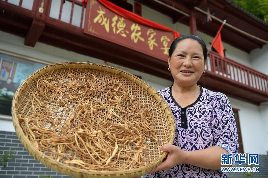 （新華全媒頭條&middot;走向我們的小康生活&middot;圖文互動(dòng)）（4）神山村&ldquo;神奇&rdquo;何在？&mdash;&mdash;井岡山深處覓答案