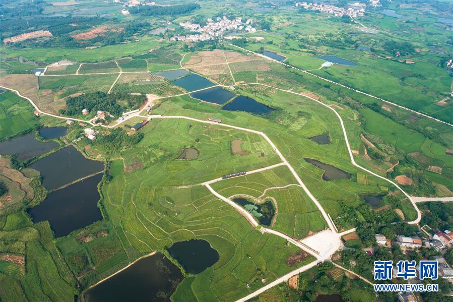 （新華全媒頭條&middot;走向我們的小康生活&middot;圖文互動）（1）特殊之年，荊楚大地書寫不平凡的答卷