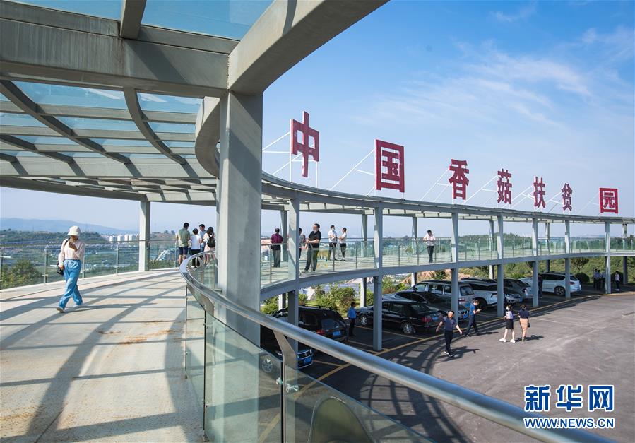 （新華全媒頭條&middot;走向我們的小康生活&middot;圖文互動）（2）特殊之年，荊楚大地書寫不平凡的答卷