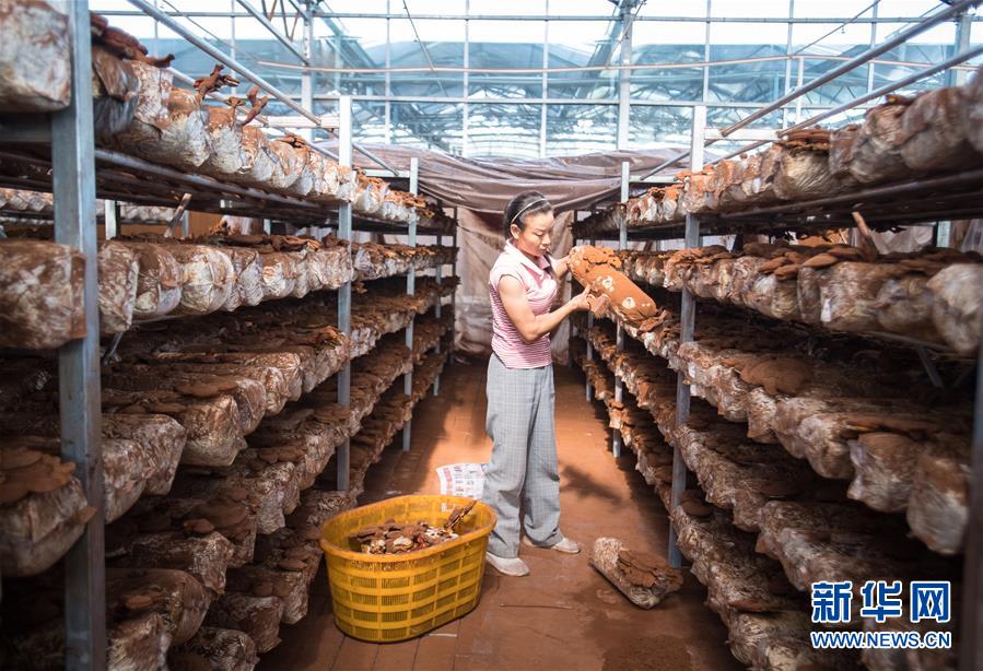 （新華全媒頭條&middot;走向我們的小康生活&middot;圖文互動）（3）特殊之年，荊楚大地書寫不平凡的答卷