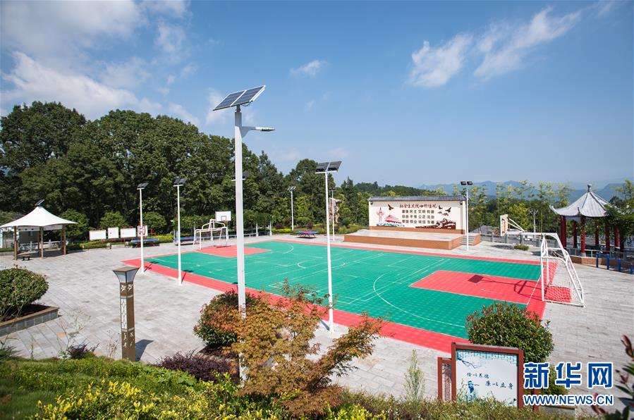 （新華全媒頭條&middot;走向我們的小康生活&middot;圖文互動）（6）特殊之年，荊楚大地書寫不平凡的答卷