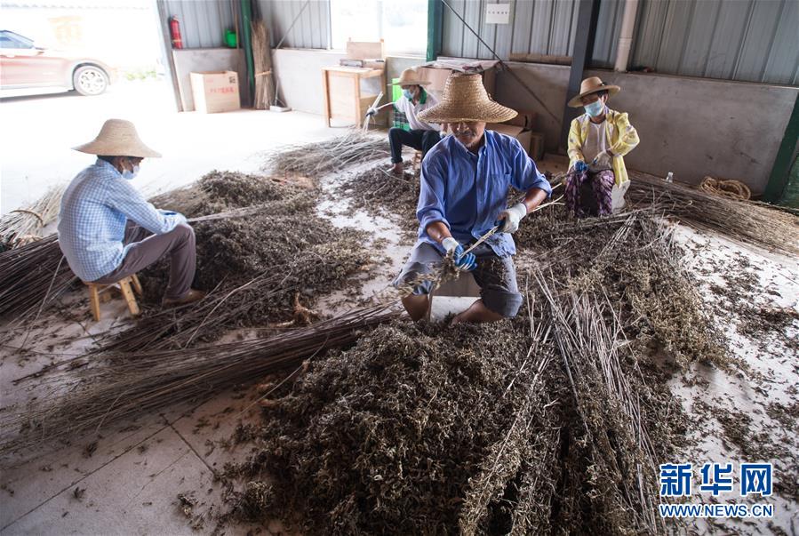 （新華全媒頭條&middot;走向我們的小康生活&middot;圖文互動）（10）特殊之年，荊楚大地書寫不平凡的答卷