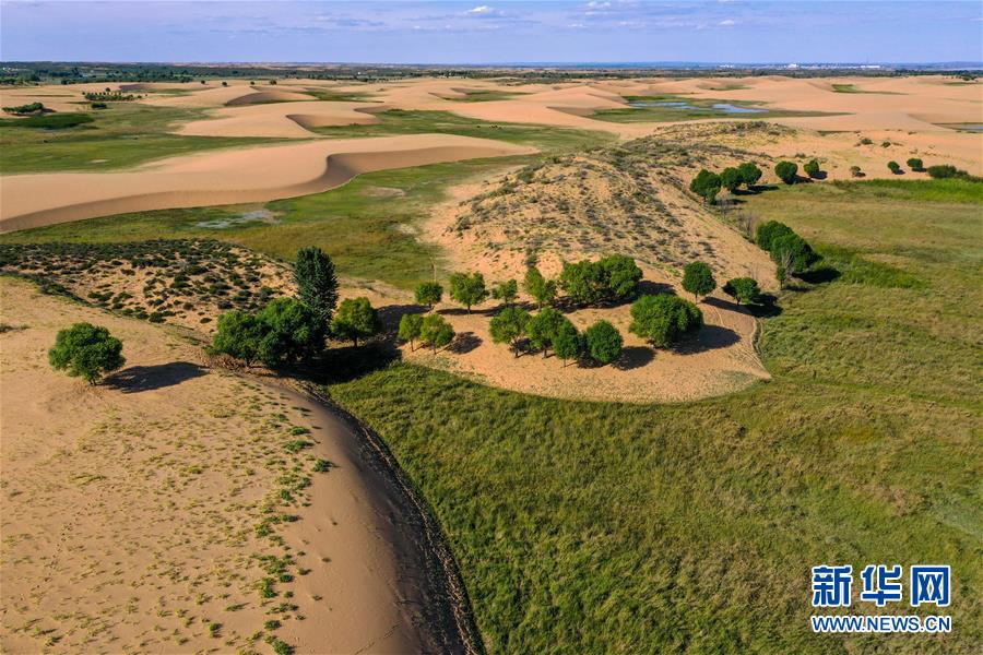 （在習(xí)近平新時(shí)代中國(guó)特色社會(huì)主義思想指引下&mdash;&mdash;新時(shí)代新作為新篇章&middot;習(xí)近平總書記關(guān)切事&middot;圖文互動(dòng)）（10）綠意，在黃沙中鋪展&mdash;&mdash;我國(guó)防沙治沙紀(jì)實(shí)