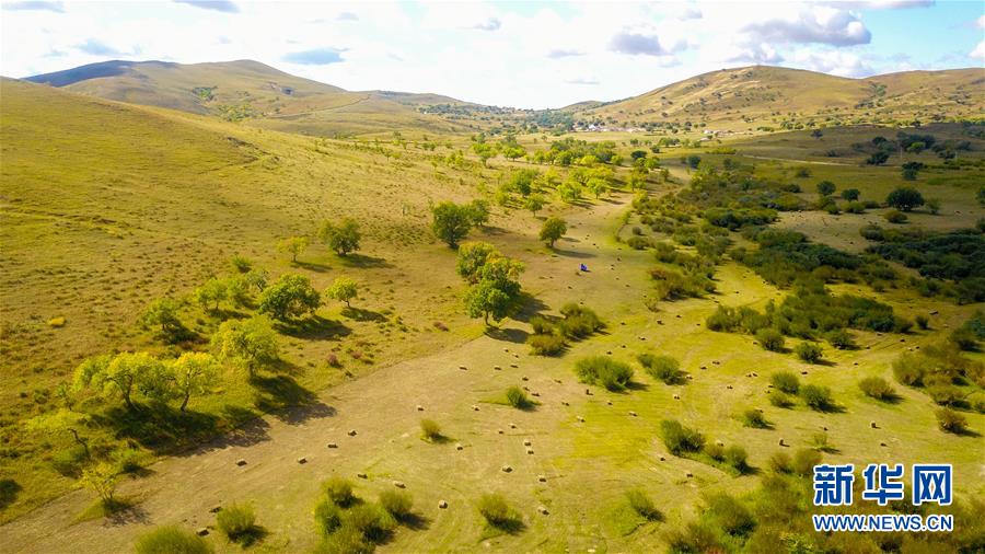 （在習(xí)近平新時(shí)代中國(guó)特色社會(huì)主義思想指引下&mdash;&mdash;新時(shí)代新作為新篇章&middot;習(xí)近平總書記關(guān)切事&middot;圖文互動(dòng)）（4）綠意，在黃沙中鋪展&mdash;&mdash;我國(guó)防沙治沙紀(jì)實(shí)