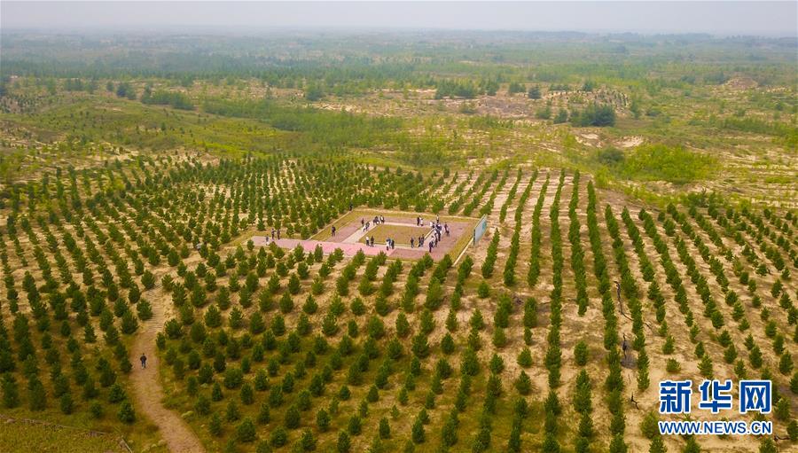 （在習(xí)近平新時(shí)代中國(guó)特色社會(huì)主義思想指引下&mdash;&mdash;新時(shí)代新作為新篇章&middot;習(xí)近平總書記關(guān)切事&middot;圖文互動(dòng)）（2）綠意，在黃沙中鋪展&mdash;&mdash;我國(guó)防沙治沙紀(jì)實(shí)