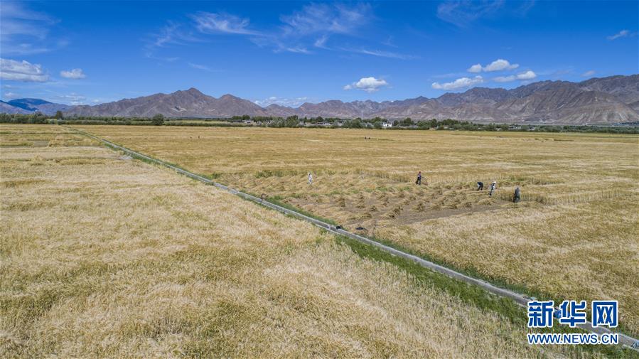 （新華全媒頭條&middot;走向我們的小康生活&middot;圖文互動(dòng)）（11）扎西德勒，我們的新家園&mdash;&mdash;西藏易地扶貧搬遷搬出幸福美好新生活