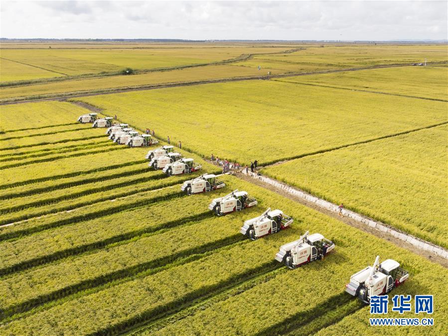 （新華全媒頭條&middot;圖文互動）（15）奮斗結(jié)碩果，再寫新篇章&mdash;&mdash;寫在共和國71周年華誕之際