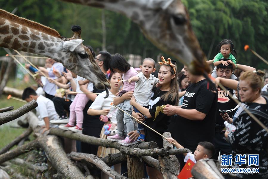 (新華全媒頭條·圖文互動)(9)“綠”從天目盎然出——湖州做好“六穩(wěn)”工作落實“六保”任務(wù)新觀察