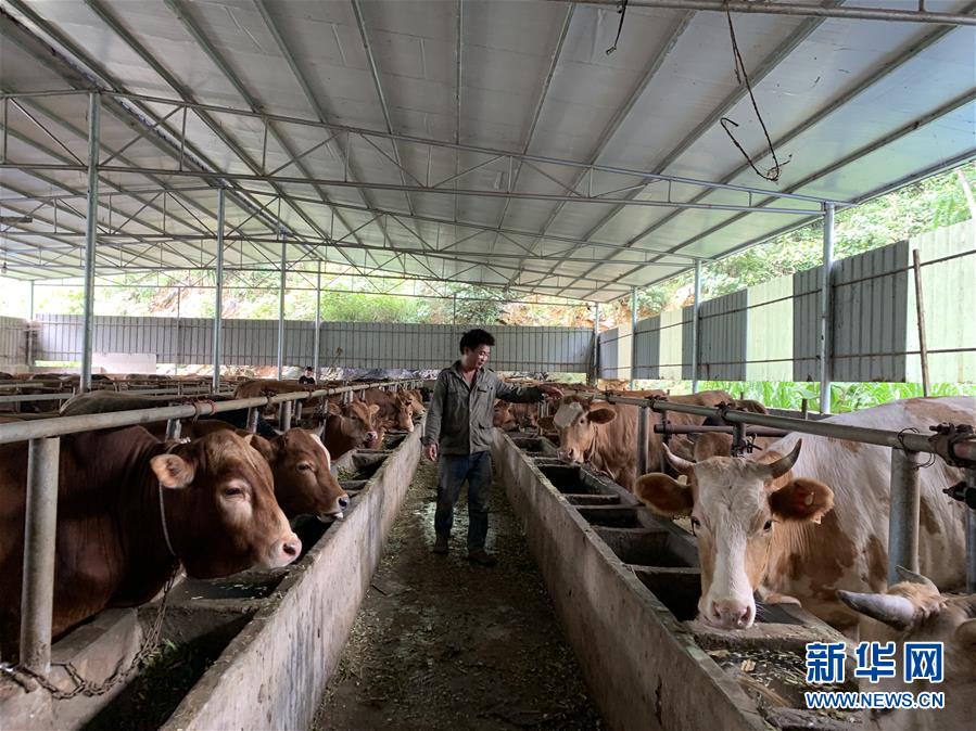 （新華全媒頭條&middot;圖文互動）（3）決戰(zhàn)千山萬弄間&mdash;&mdash;廣西&ldquo;極貧角落&rdquo;最后攻堅記