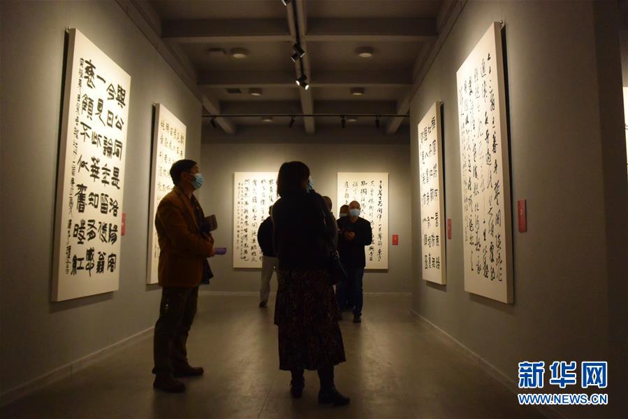 (新華網(wǎng)·圖文互動(dòng))(3)“黃河明珠——龍門石窟國際書法名家邀請(qǐng)展”開展