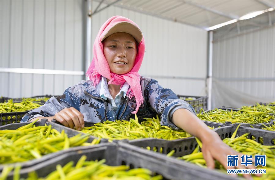 （新華全媒頭條&middot;百萬(wàn)大移民&middot;圖文互動(dòng)）（9）從大山深處到大河之畔&mdash;&mdash;寧夏持續(xù)移民百萬(wàn)&ldquo;拔窮根&rdquo;啟示