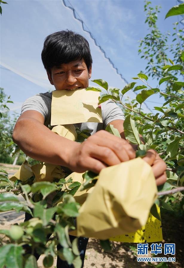 （習近平的小康故事&middot;圖文互動）（2）&ldquo;我很期盼的一件事，就是讓鄉(xiāng)親們飽餐一頓肉&rdquo;&mdash;&mdash;習近平和脫貧攻堅的故事