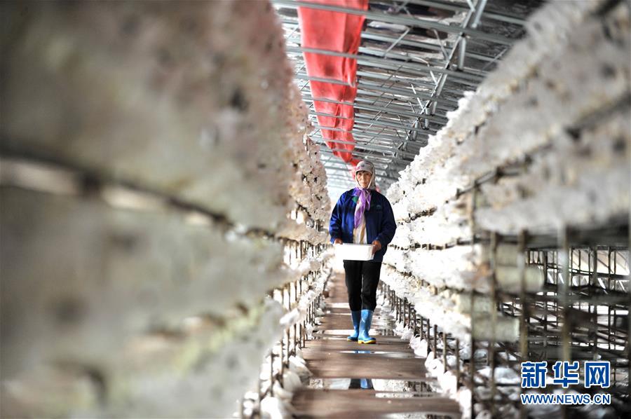 （習近平的小康故事&middot;圖文互動）（6）&ldquo;我很期盼的一件事，就是讓鄉(xiāng)親們飽餐一頓肉&rdquo;&mdash;&mdash;習近平和脫貧攻堅的故事