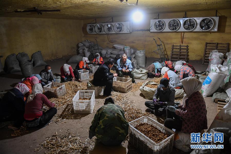 （習近平的小康故事&middot;圖文互動）（8）&ldquo;我很期盼的一件事，就是讓鄉(xiāng)親們飽餐一頓肉&rdquo;&mdash;&mdash;習近平和脫貧攻堅的故事