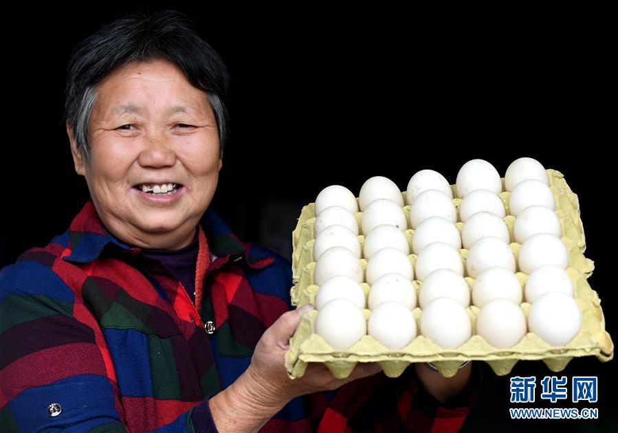 （決戰(zhàn)決勝脫貧攻堅&middot;圖文互動）（3）17代人追逐的夢想實現(xiàn)了&mdash;&mdash;記冀南平原劉秋口村變遷 