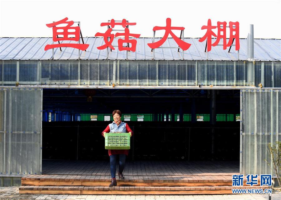 （決戰(zhàn)決勝脫貧攻堅&middot;圖文互動）（5）17代人追逐的夢想實現(xiàn)了&mdash;&mdash;記冀南平原劉秋口村變遷 