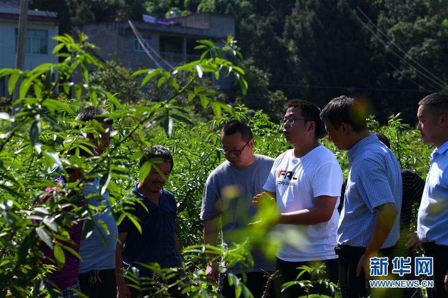 （決戰(zhàn)決勝脫貧攻堅(jiān)&middot;圖文互動）（3）&ldquo;堵槍眼&rdquo;的脫貧戰(zhàn)怎么打？&mdash;&mdash;繼光村見聞