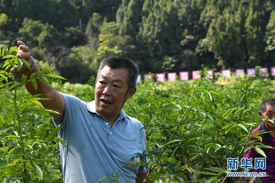 （決戰(zhàn)決勝脫貧攻堅(jiān)&middot;圖文互動）（4）&ldquo;堵槍眼&rdquo;的脫貧戰(zhàn)怎么打？&mdash;&mdash;繼光村見聞