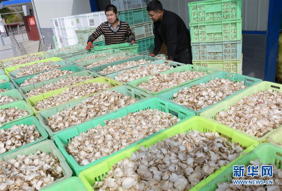 #(脫貧攻堅(jiān))(5)甘肅臨夏:東西協(xié)作助力脫貧攻堅(jiān)