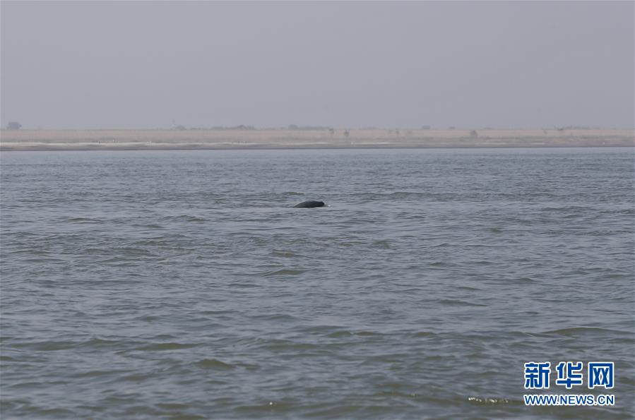 （五中全會(huì)精神在基層&middot;圖文互動(dòng)）（2）岳陽(yáng)治水添彩&ldquo;巴陵勝狀&rdquo;