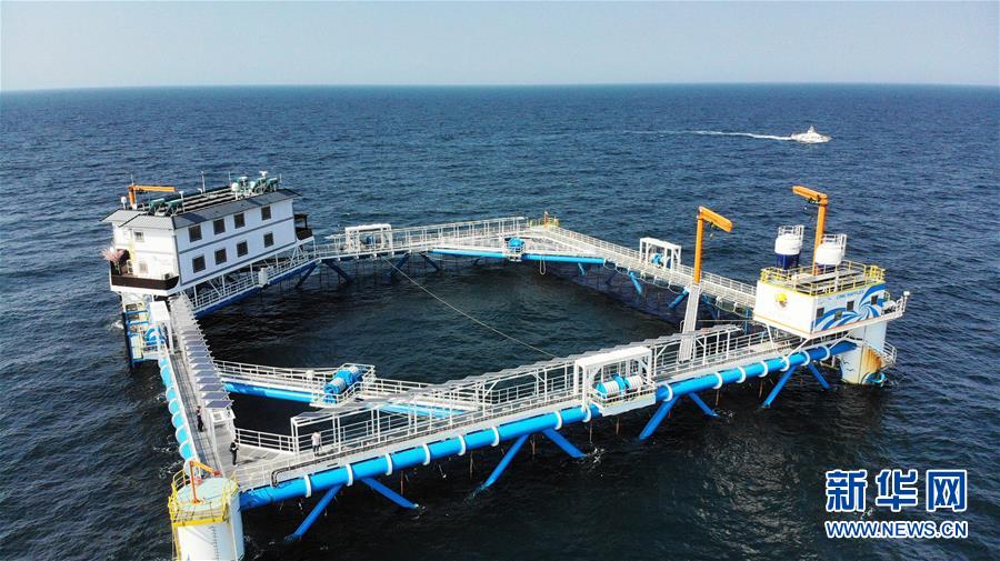(新華全媒頭條·圖文互動)(1)“拔”海起牧場 “耕”海新牧歌