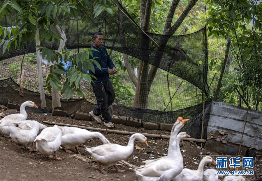 (新華全媒頭條·兩會(huì)精神看落實(shí)·圖文互動(dòng))(8)培育新機(jī) 開辟新局——落實(shí)全國兩會(huì)精神激發(fā)經(jīng)濟(jì)發(fā)展新動(dòng)能述評