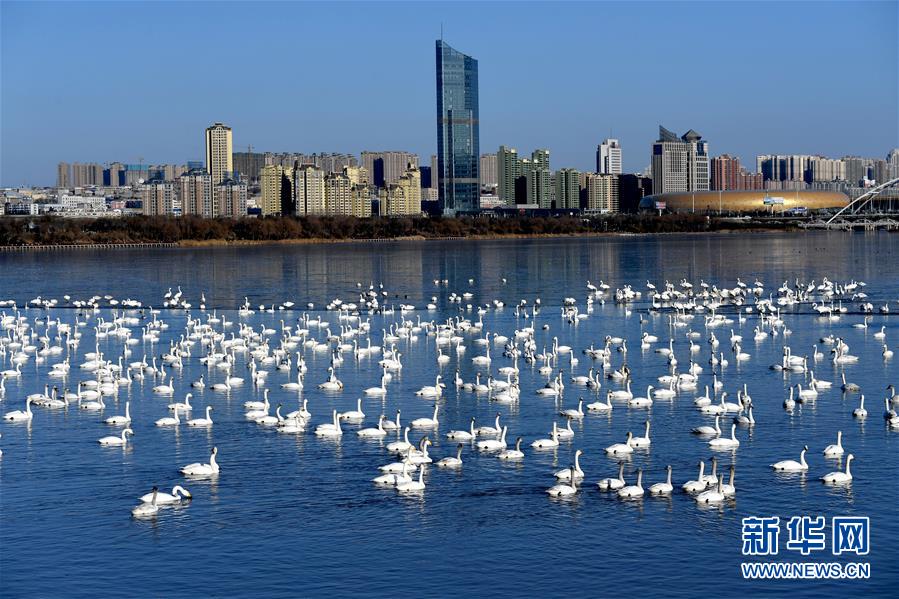 （新華全媒頭條&middot;圖文互動(dòng)）（14）中國道路越走越寬廣&mdash;&mdash;社會(huì)主義中國實(shí)踐啟示錄