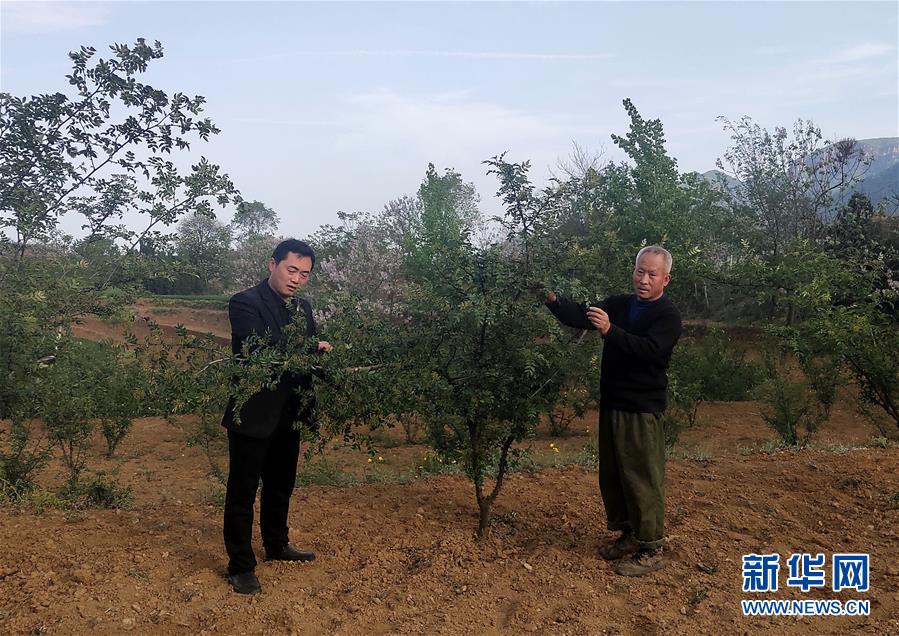 (新華全媒頭條·圖文互動)(6)春天里的5個“戰(zhàn)貧”瞬間——習(xí)近平總書記關(guān)于脫貧攻堅決策部署指引攻克最后的深貧堡壘