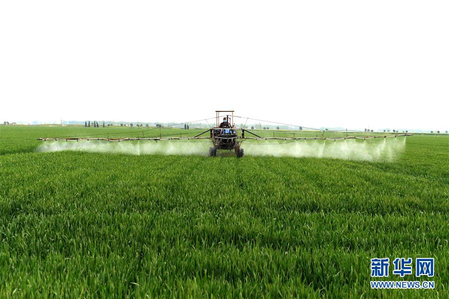 （在習(xí)近平新時(shí)代中國特色社會(huì)主義思想指引下&mdash;&mdash;新時(shí)代新作為新篇章&middot;習(xí)近平總書記關(guān)切事&middot;圖文互動(dòng)）（10）新農(nóng)事、新希望&mdash;&mdash;夏收前田間新動(dòng)態(tài)掃描