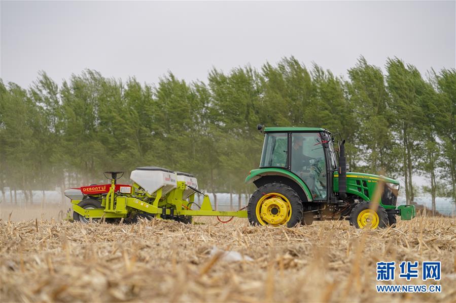 (在習(xí)近平新時(shí)代中國(guó)特色社會(huì)主義思想指引下——新時(shí)代新作為新篇章·習(xí)近平總書(shū)記關(guān)切事·圖文互動(dòng))(9)讓農(nóng)民挑上“金扁擔(dān)”——農(nóng)業(yè)現(xiàn)代化的生動(dòng)實(shí)踐掃描