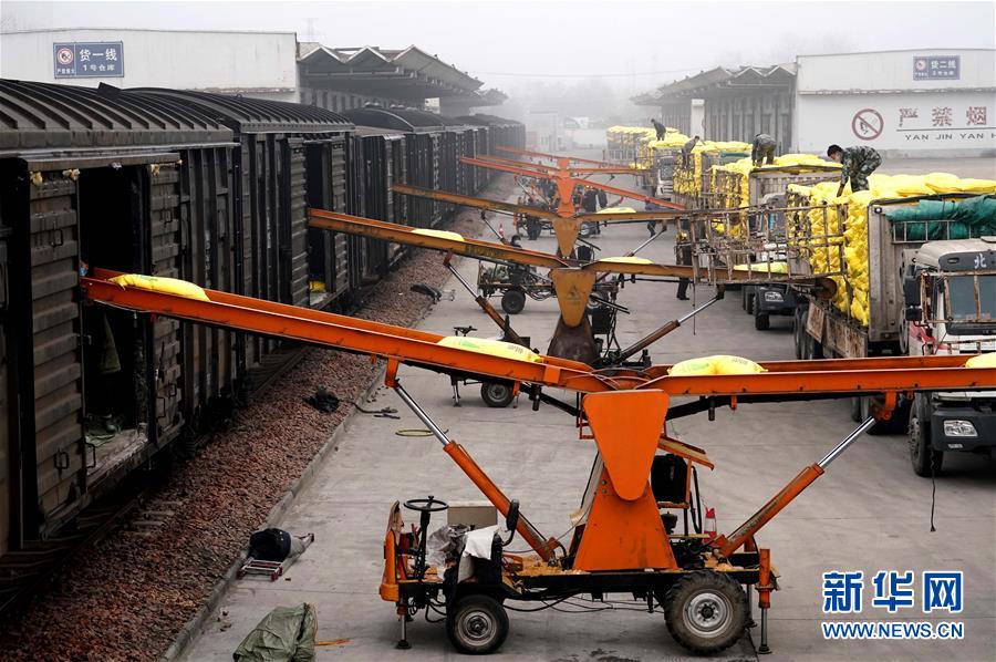 （在習(xí)近平新時(shí)代中國特色社會(huì)主義思想指引下&mdash;&mdash;新時(shí)代新作為新篇章&middot;習(xí)近平總書記關(guān)切事&middot;圖文互動(dòng)）（5）食為政首&mdash;&mdash;穩(wěn)住農(nóng)業(yè)基本盤增添發(fā)展底氣