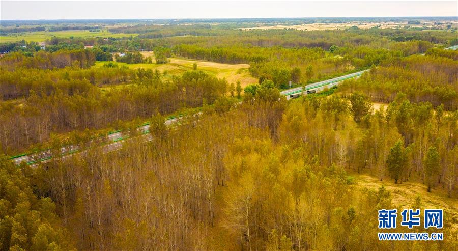 （在習(xí)近平新時代中國特色社會主義思想指引下&mdash;&mdash;新時代新作為新篇章&middot;習(xí)近平總書記關(guān)切事&middot;圖文互動）（3）綠意，在黃沙中鋪展&mdash;&mdash;我國防沙治沙紀(jì)實