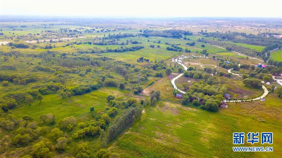 （在習(xí)近平新時代中國特色社會主義思想指引下&mdash;&mdash;新時代新作為新篇章&middot;習(xí)近平總書記關(guān)切事&middot;圖文互動）（1）綠意，在黃沙中鋪展&mdash;&mdash;我國防沙治沙紀(jì)實