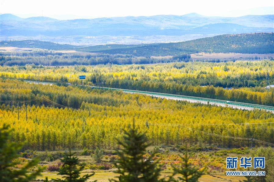 （在習(xí)近平新時代中國特色社會主義思想指引下&mdash;&mdash;新時代新作為新篇章&middot;習(xí)近平總書記關(guān)切事&middot;圖文互動）（7）綠意，在黃沙中鋪展&mdash;&mdash;我國防沙治沙紀(jì)實