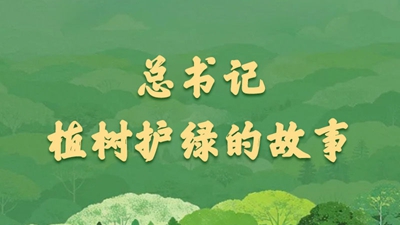 總書(shū)記植樹(shù)護(hù)綠的故事
