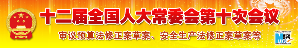 十二屆全國(guó)人大常委會(huì)第十次會(huì)議
