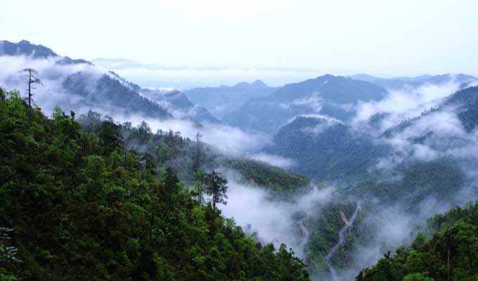 廣東乳源、廣東乳陽林場(chǎng)、云南華寧葫蘆口電站