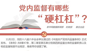黨內監(jiān)督有哪些&ldquo;硬杠杠&rdquo;？