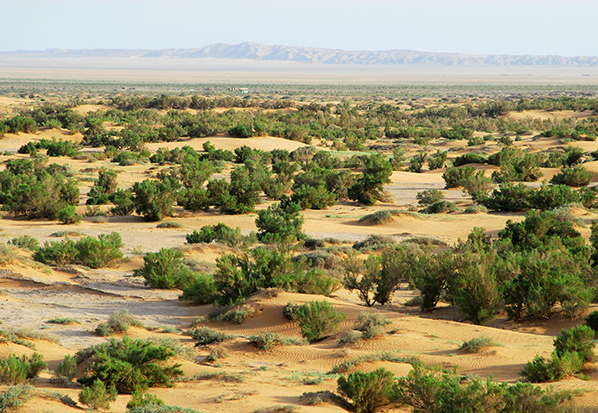 【長篇通訊】塞罕壩，京城綠色屏障的前世今生
