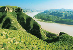 張建龍：&ldquo;三北工程&rdquo;實現(xiàn)生態(tài)、經(jīng)濟、社會效益&ldquo;多贏&rdquo;