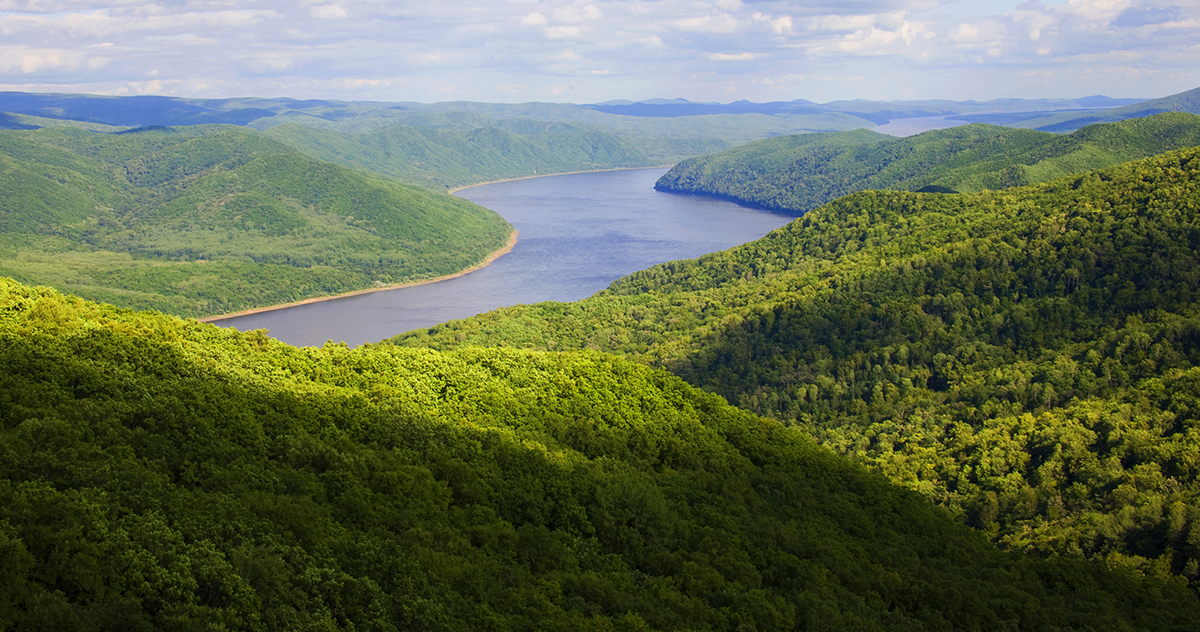 張建龍：&ldquo;三北工程&rdquo;實現(xiàn)生態(tài)、經(jīng)濟、社會效益&ldquo;多贏&rdquo;
