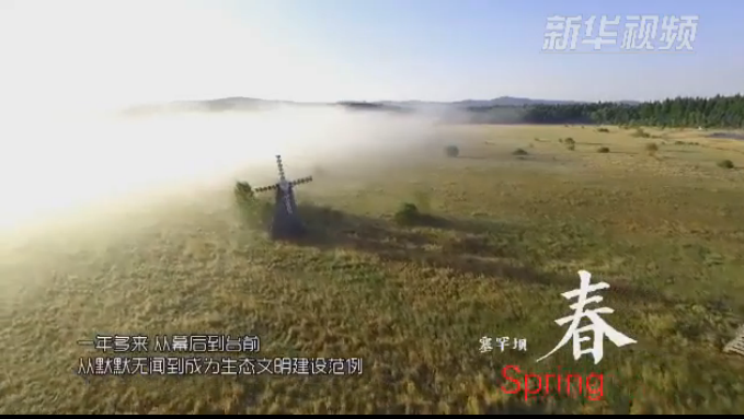 塞罕壩：那一抹綠色，走進越來越多人心里