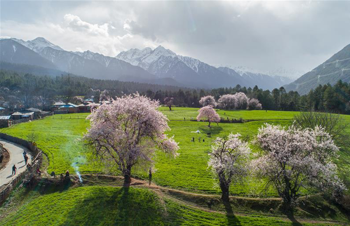 生態(tài)中國(guó)&middot;醉美西藏高原情