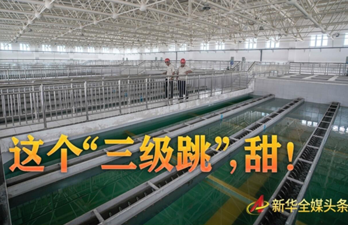 這個&ldquo;三級跳&rdquo;，甜！